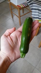 Première courgette de la saison ! Juste histoire de nous mettre l'eau à la bouche pour les beaux jours... ;-)